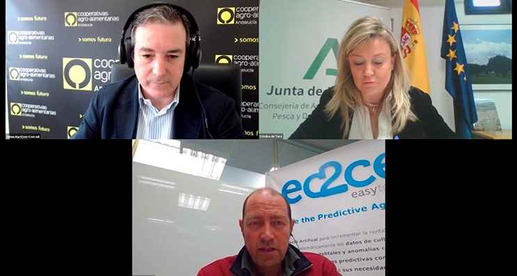 webinar cooperativas digitalización