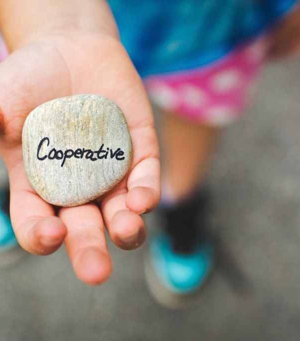Cooperativas
