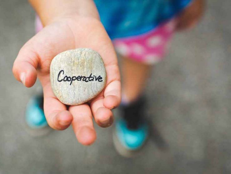 Cooperativas