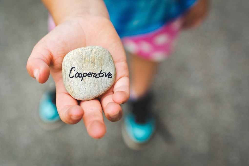 Cooperativas