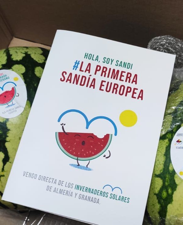 Envíos con Sandi