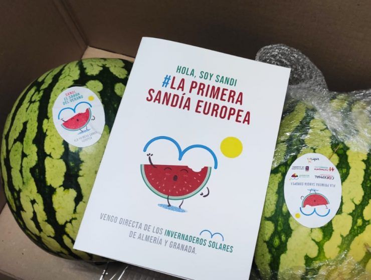 Envíos con Sandi