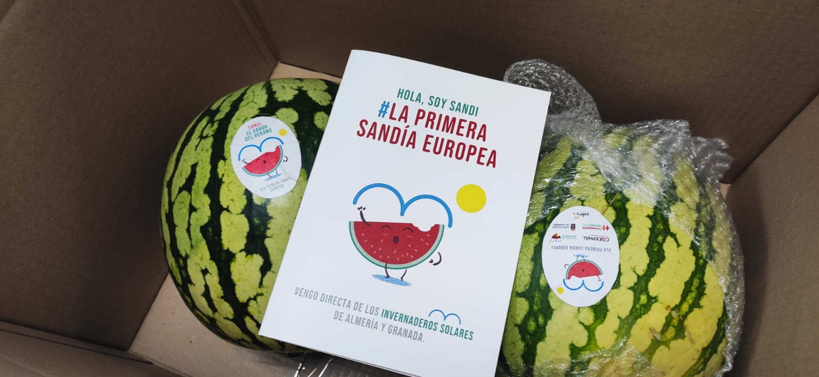 Envíos con Sandi