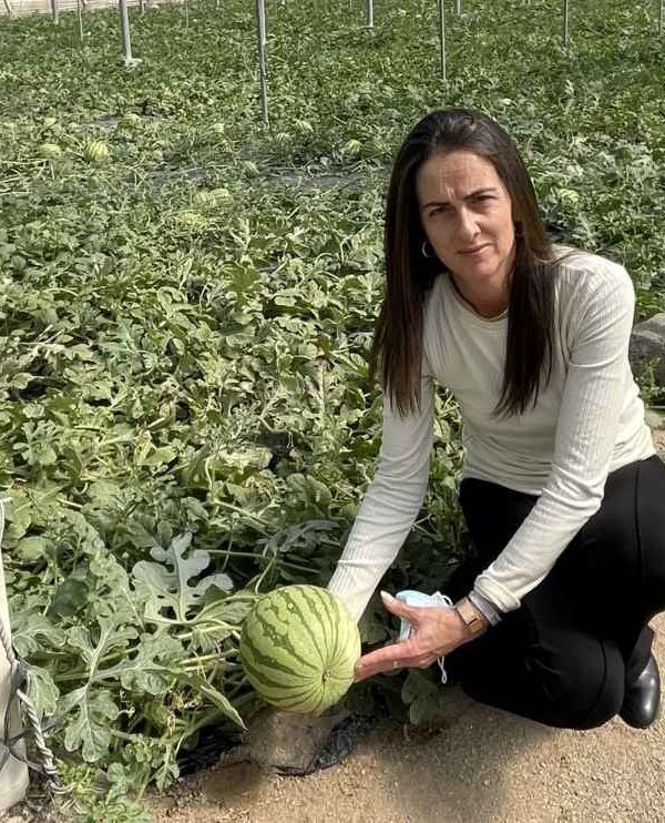 No cortes en verde