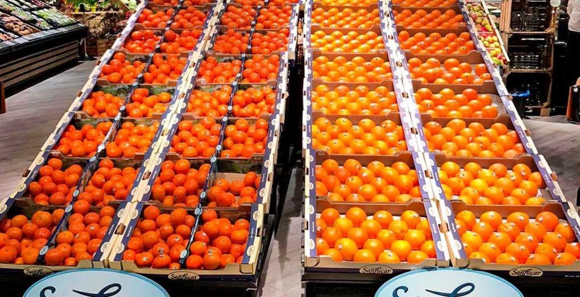 fresas sanlucar
