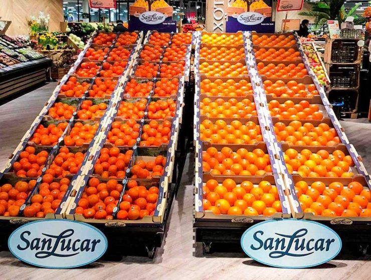 fresas sanlucar