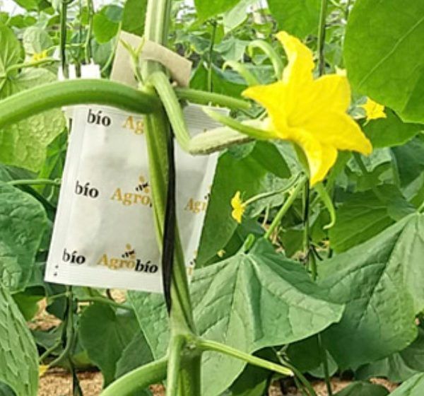 agrobio