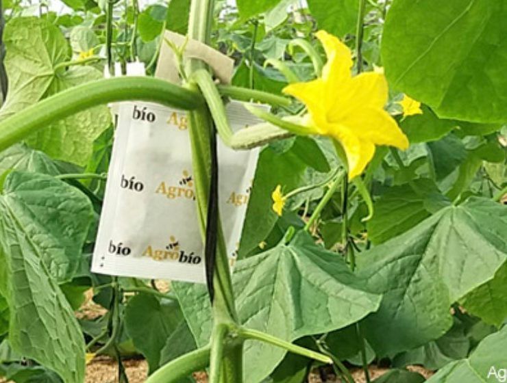 agrobio