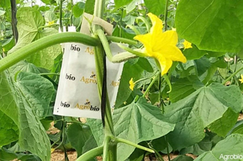agrobio