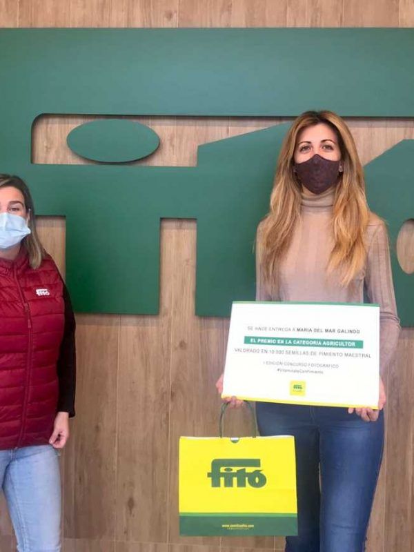 concurso fito