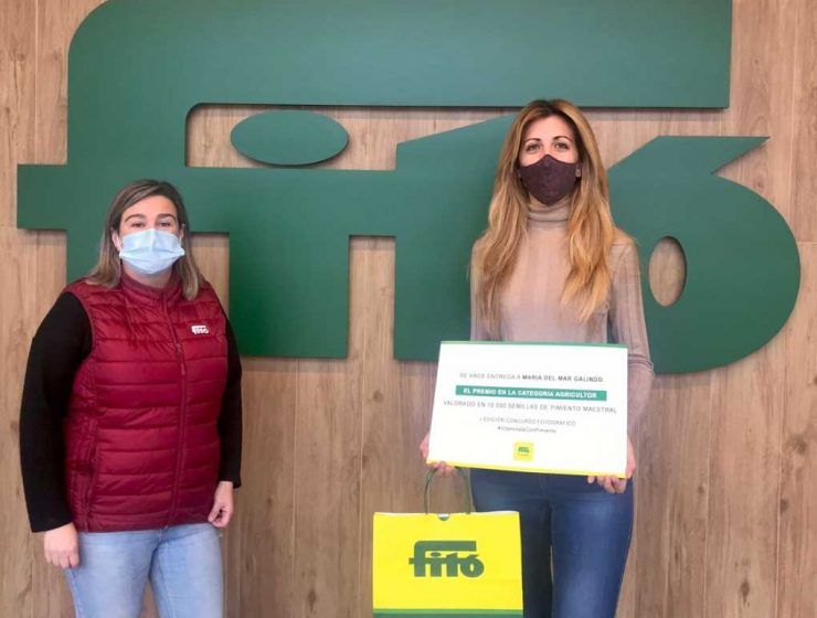 concurso fito