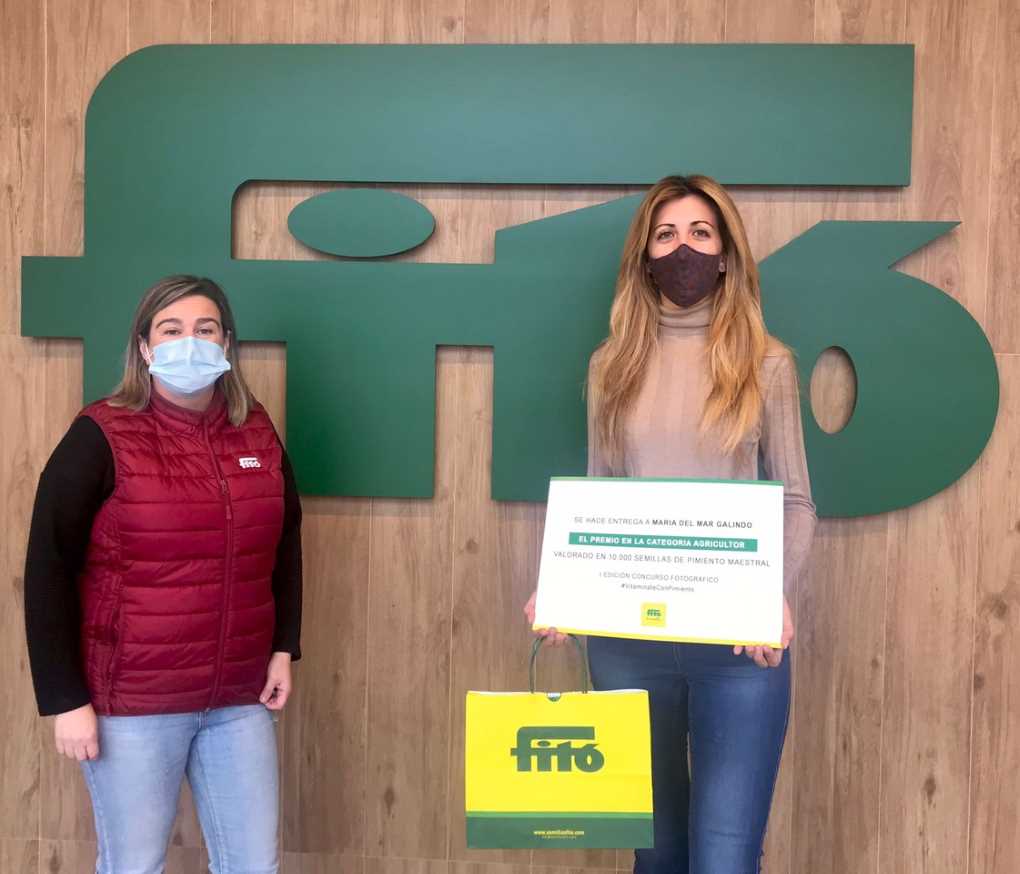 concurso fito