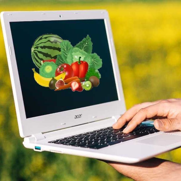 digitalización