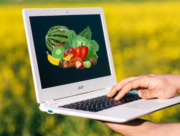 digitalización