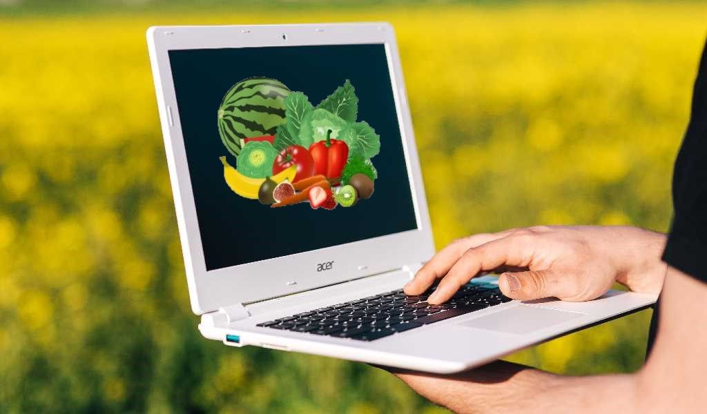 digitalización