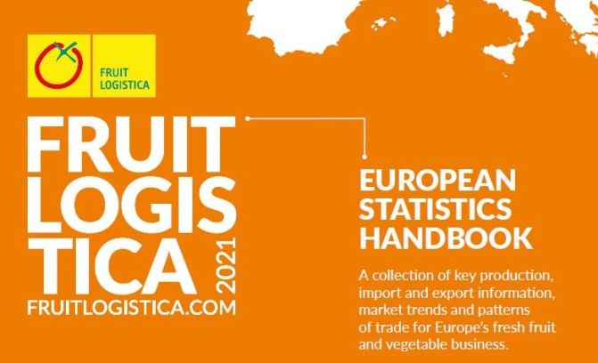 European Stadistics Handbook