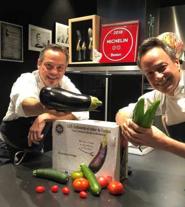 hermanos torres