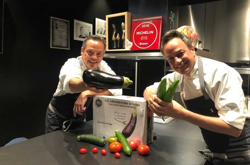 hermanos torres