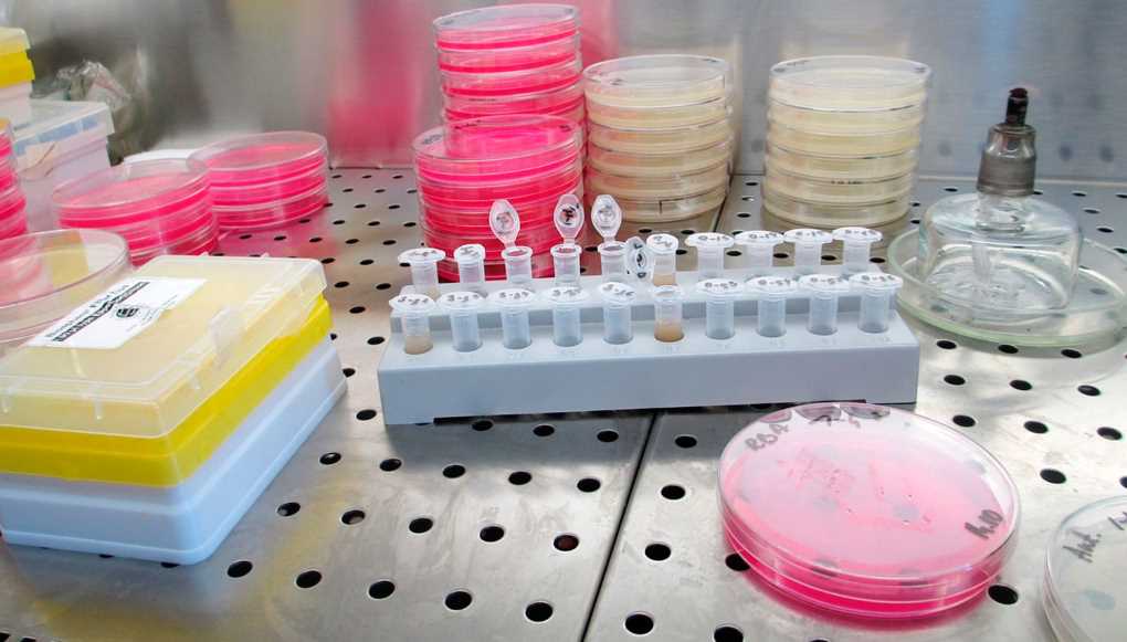 laboratorio azufre