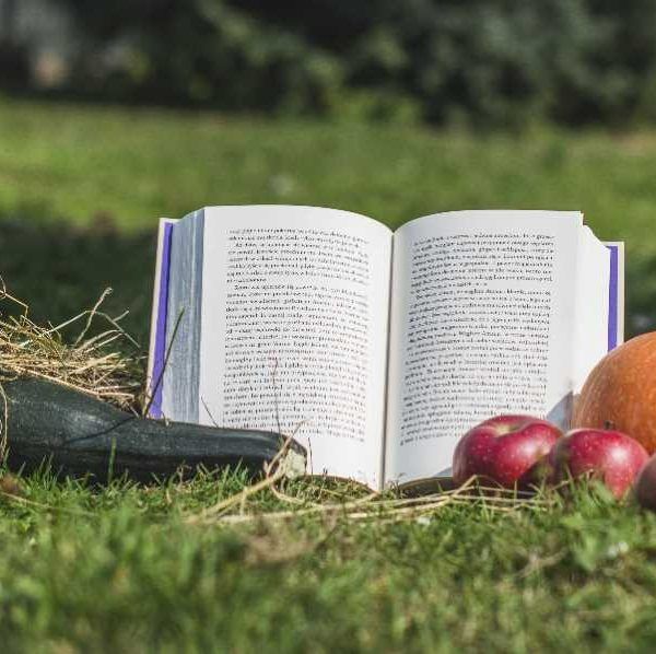 Día del Libro