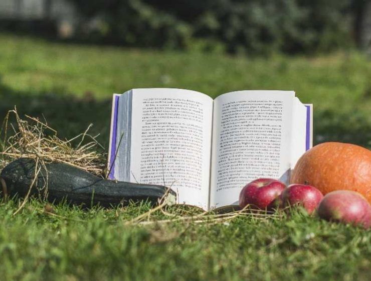 Día del Libro