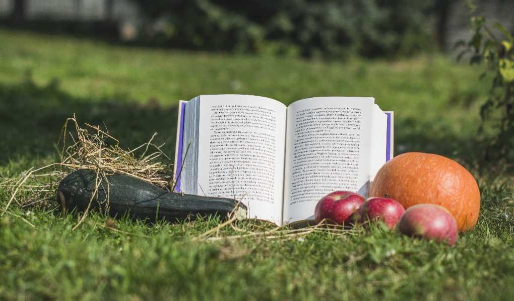 Día del Libro