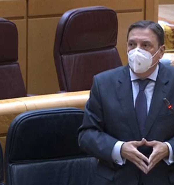 ministro senado