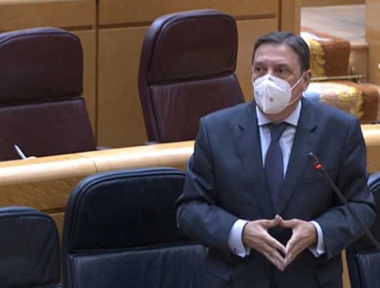 ministro senado