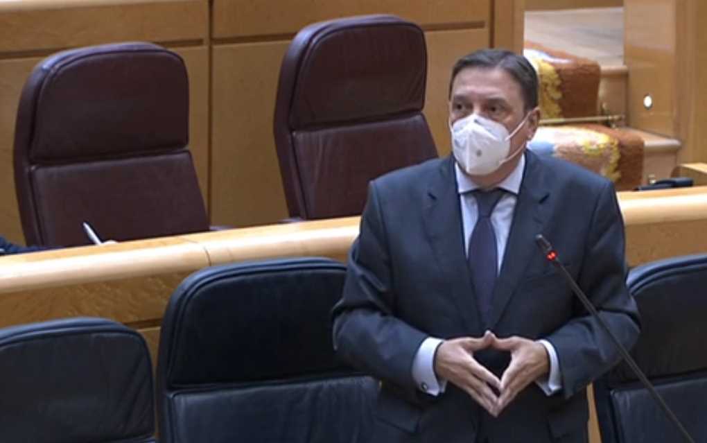 ministro senado