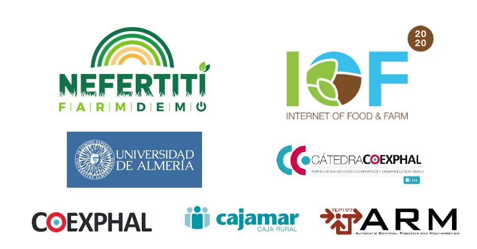 organizadores webinar nefertiti