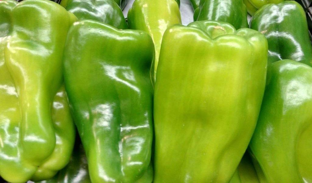 pimientos