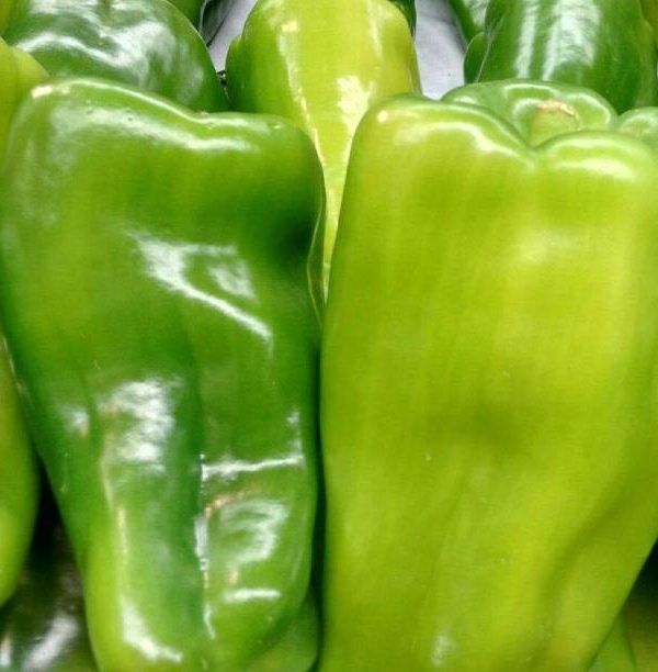 pimientos