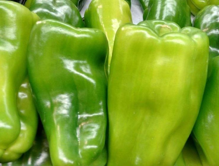 pimientos