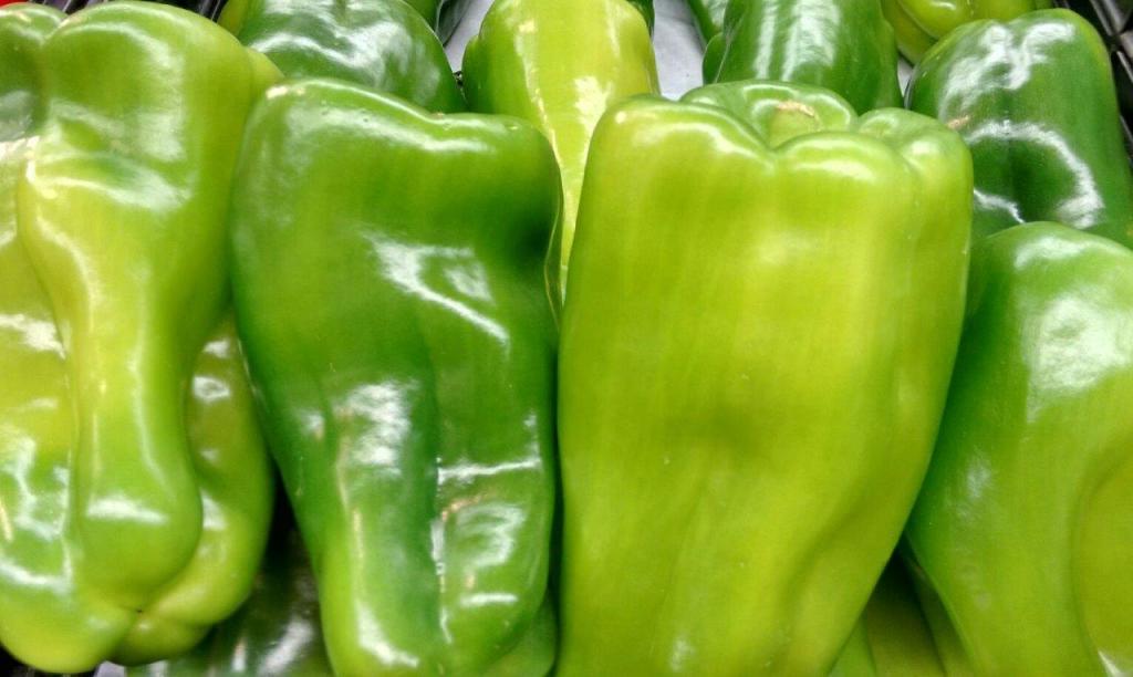 pimientos