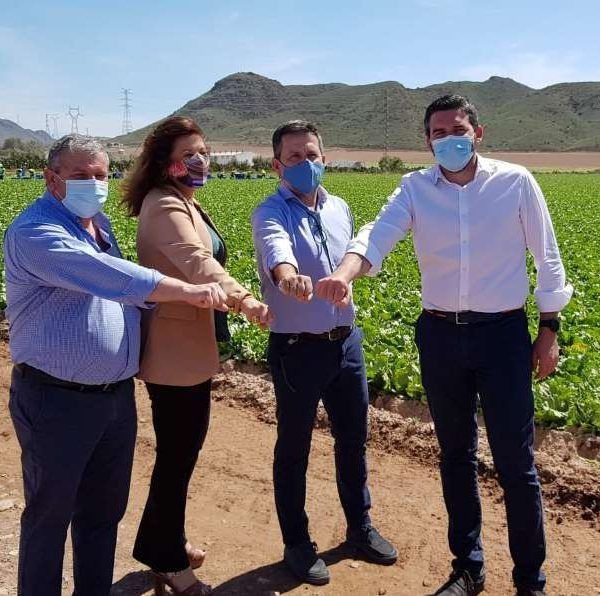 Andalucía y Murcia se unen en defensa del sector hortofrutícola del sureste español