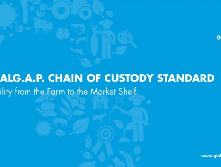 cadena de custodia global gap