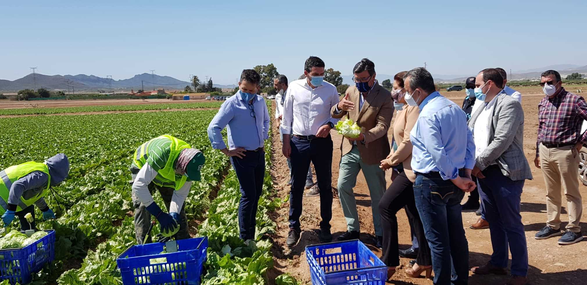 Visita a campo lechugas Pulpí