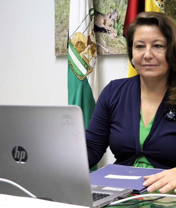 consejo consultivo