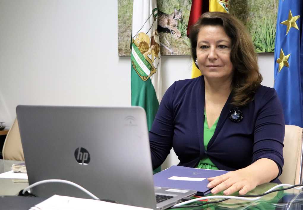 consejo consultivo