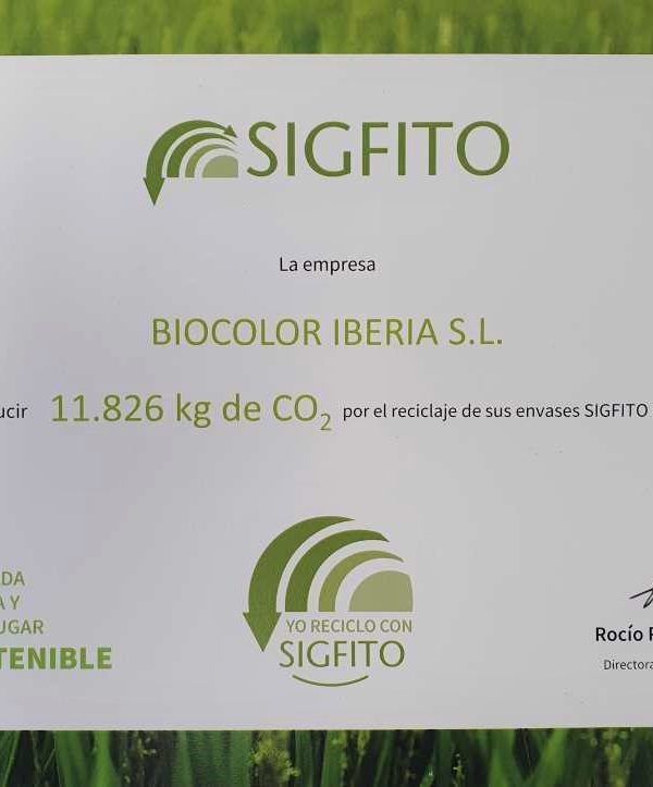 diploma sigfito