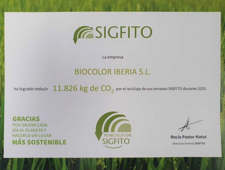 diploma sigfito