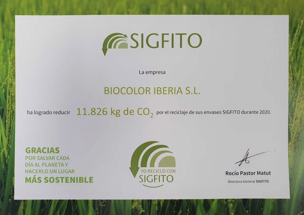 diploma sigfito