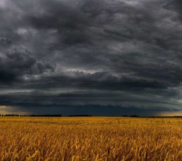 Adversidad climática