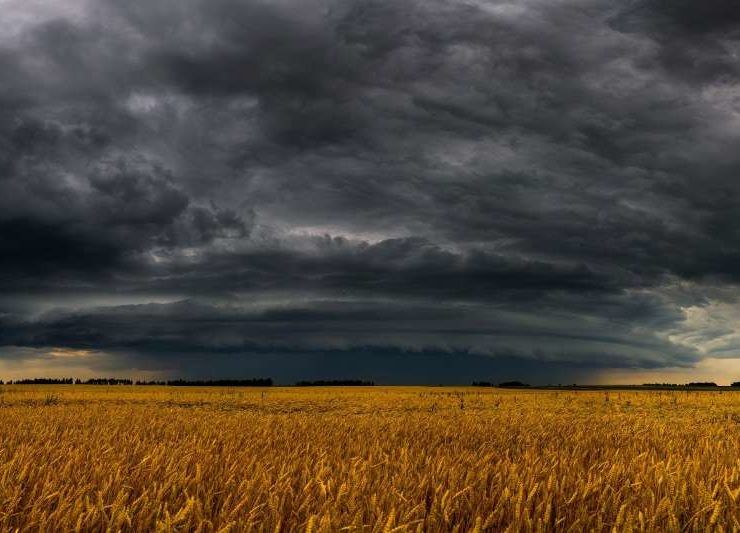 Adversidad climática