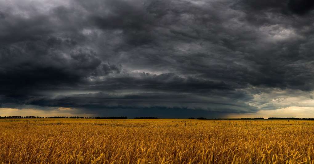 Adversidad climática