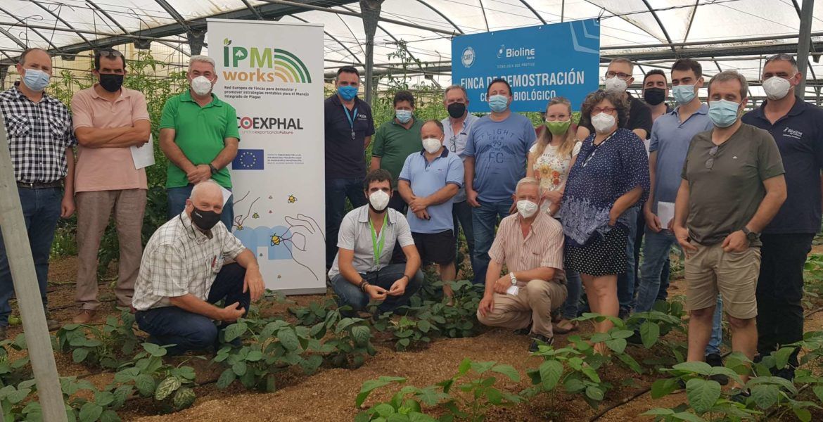 GRUPO 1 UNICA IPM Works