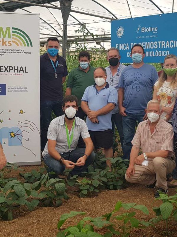GRUPO 1 UNICA IPM Works