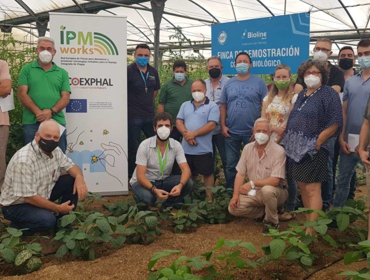 GRUPO 1 UNICA IPM Works