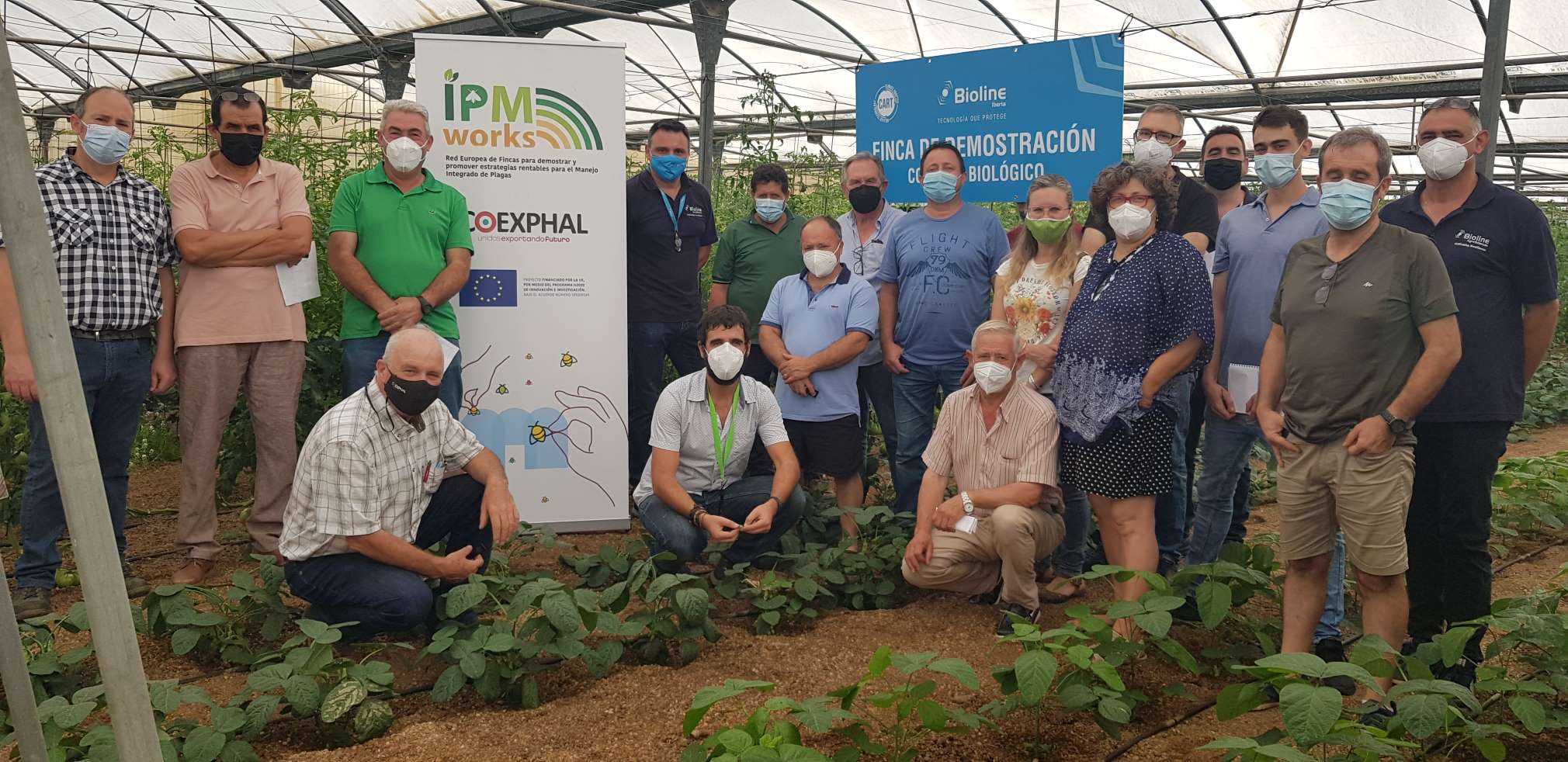 GRUPO 1 UNICA IPM Works