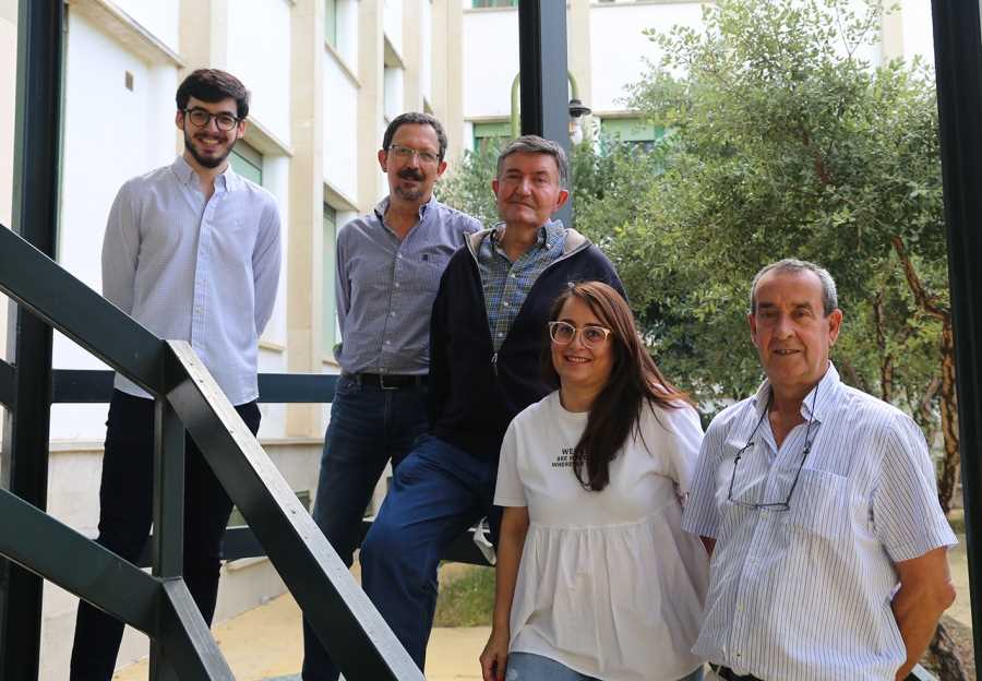 Grupo investigación Córdoba ok